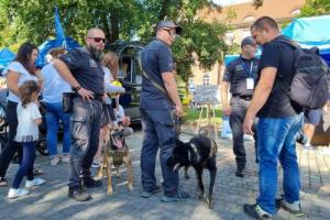 pies służbowy ze swoim przewodnikiem i innymi osobami 
